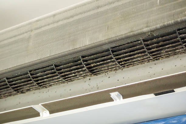 Best Air Quality Test  in Atlantic Beach, FL